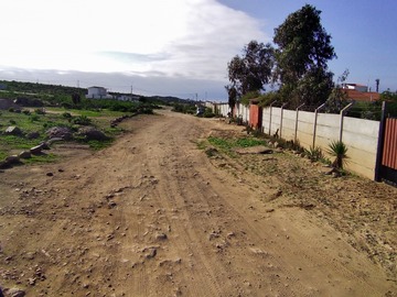 Imagen 9
