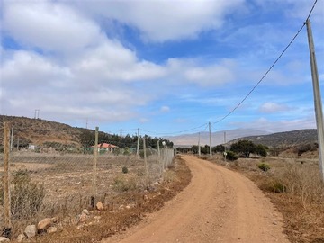 Imagen 21