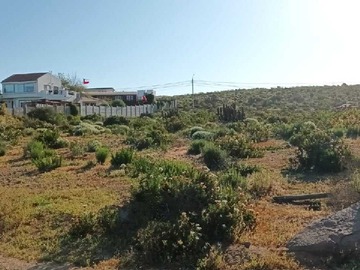 Venta / Terreno / Coquimbo