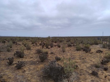 Imagen 9