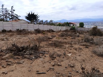 Imagen 6