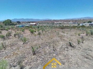 Imagen 6