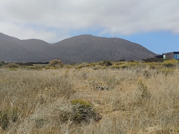 Venta / Terreno / Coquimbo
