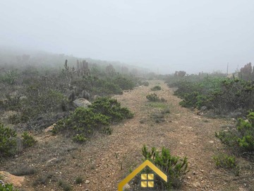 Venta / Terreno / Coquimbo