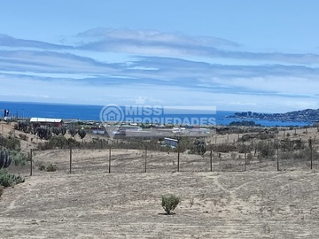 Imagen 12