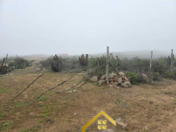 Imagen 6