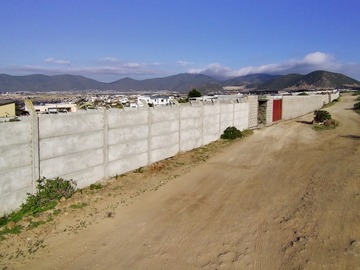 Imagen 8
