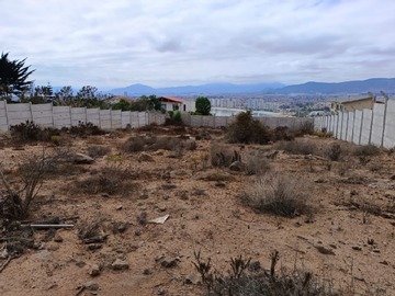 Imagen 5