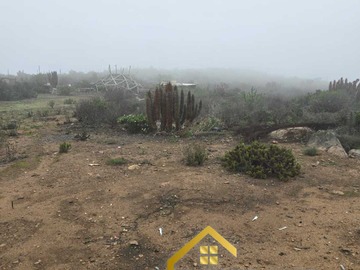 Imagen 9