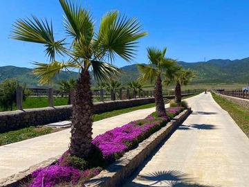 Venta / Terreno / Coquimbo