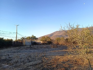 Imagen 8