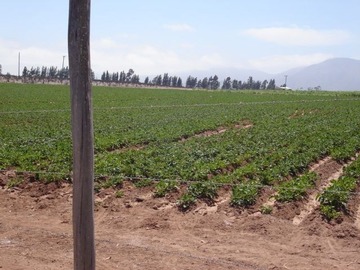 Imagen 4