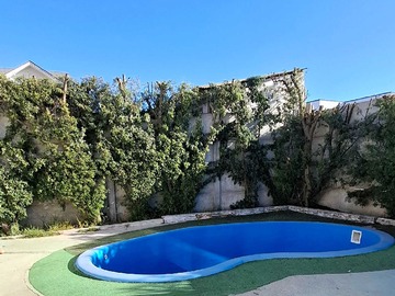 Imagen 23