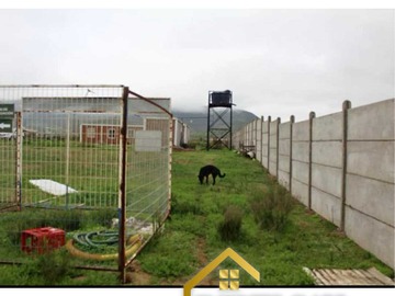 Imagen 7