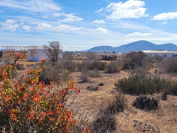 Venta / Terreno / Coquimbo