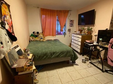 Imagen 7