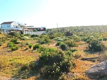 Venta / Terreno / Coquimbo