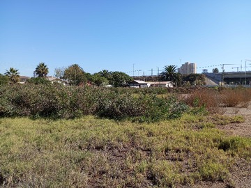 Venta / Terreno / Coquimbo