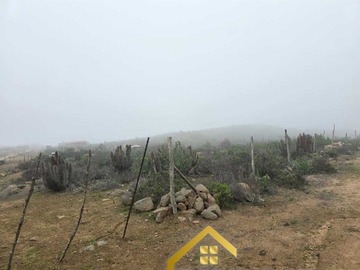 Imagen 5