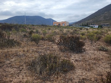Venta / Terreno / Coquimbo