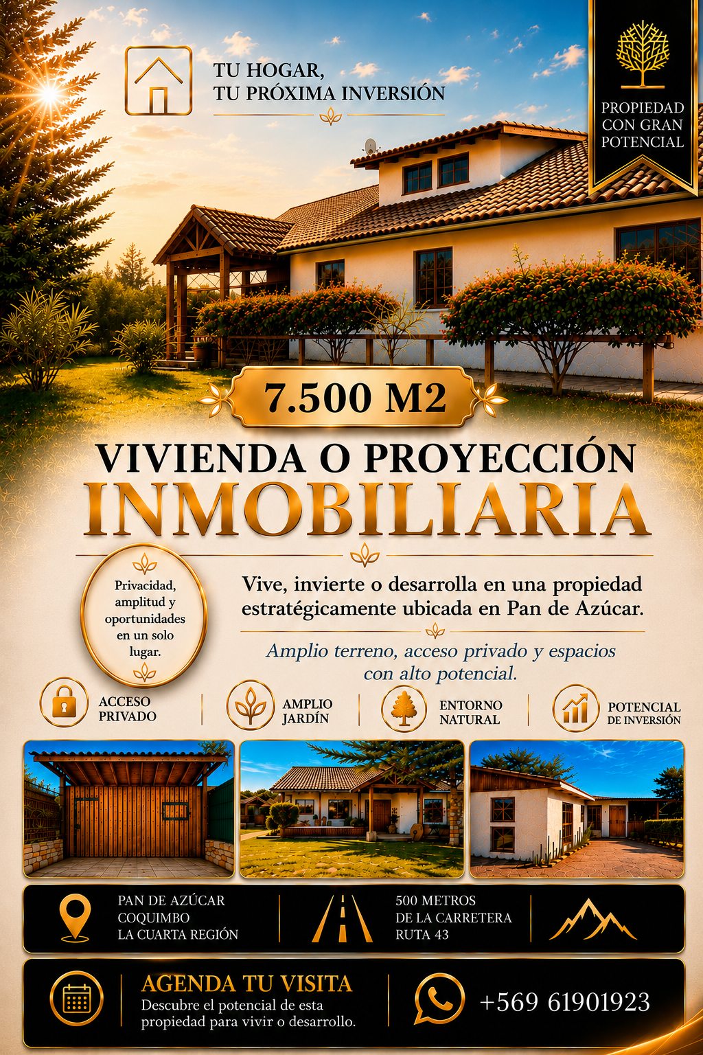 FLYER PROMOCIONAL 