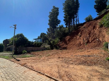 Imagen 6