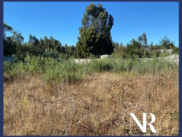 Venta / Terreno / Coronel
