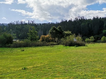 Venta / Terreno / Coronel