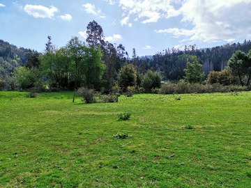 Venta / Terreno / Coronel