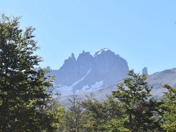 Venta / Terreno / Coyhaique