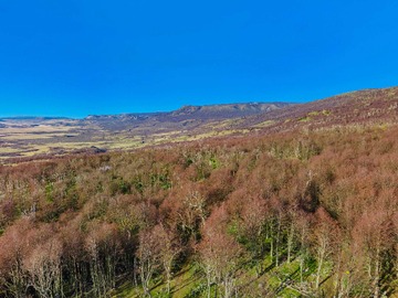 Venta / Terreno / Coyhaique