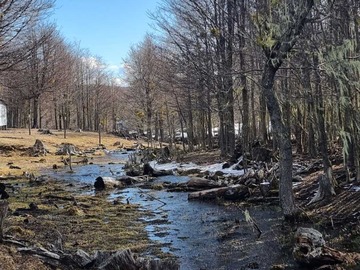 Venta / Terreno / Coyhaique