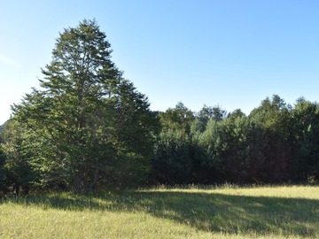 Venta / Terreno / Coyhaique