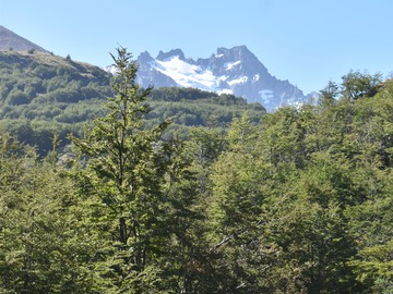 Venta / Terreno / Coyhaique