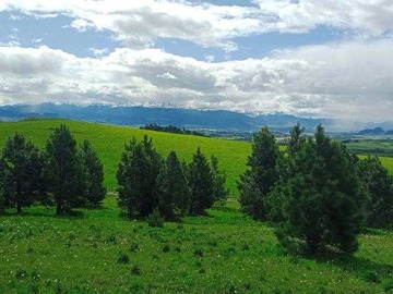Venta / Terreno / Coyhaique