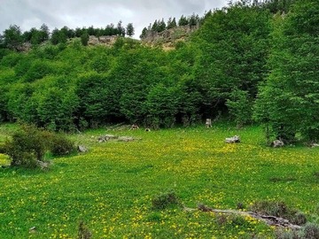 Venta / Terreno / Coyhaique