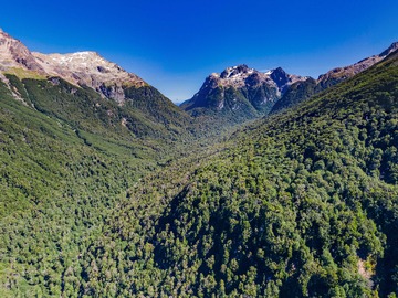 Venta / Terreno / Coyhaique