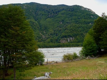 Venta / Terreno / Coyhaique