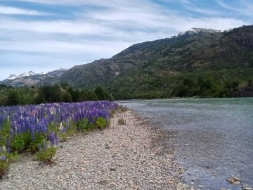 Venta / Terreno / Coyhaique