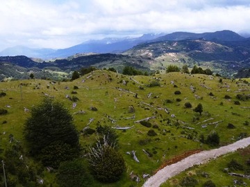 Imagen 5