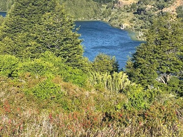 Venta / Terreno / Coyhaique