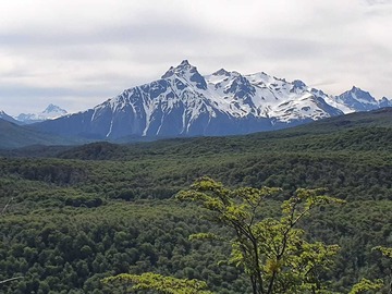Venta / Terreno / Coyhaique