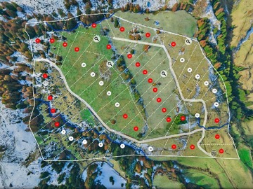 Venta / Terreno / Coyhaique