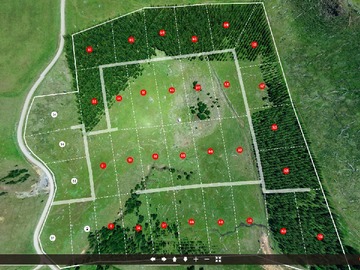 Venta / Terreno / Coyhaique