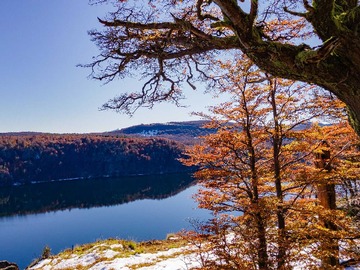 Venta / Terreno / Coyhaique