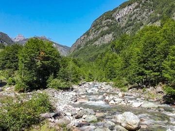 Venta / Terreno / Coyhaique