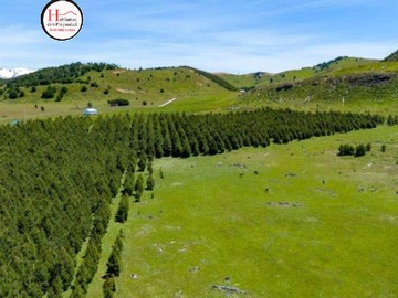 Venta / Terreno / Coyhaique