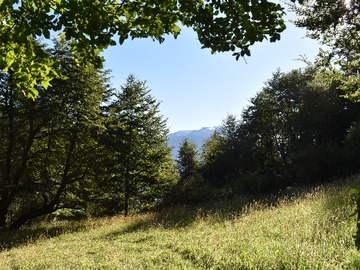 Venta / Terreno / Coyhaique