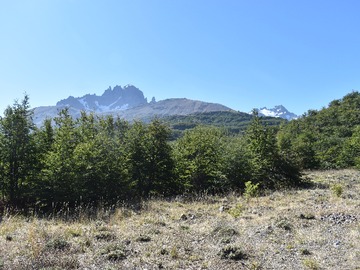 Venta / Terreno / Coyhaique