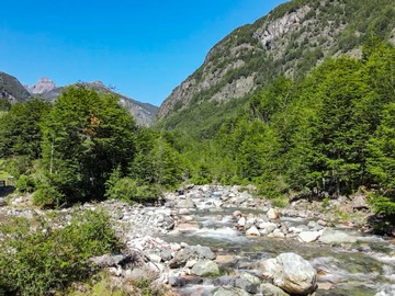 Venta / Terreno / Coyhaique